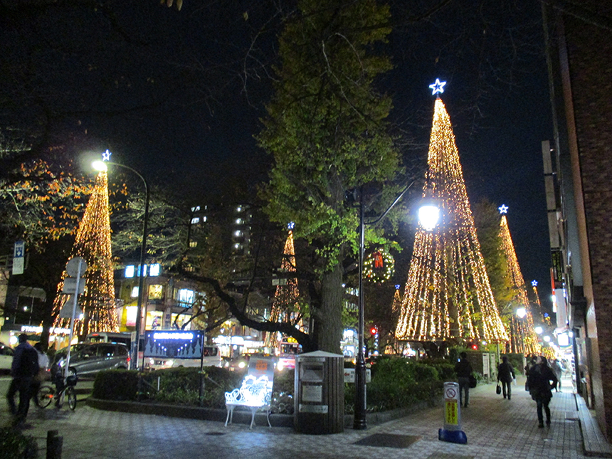 Winter Daigaku-dori Ave.