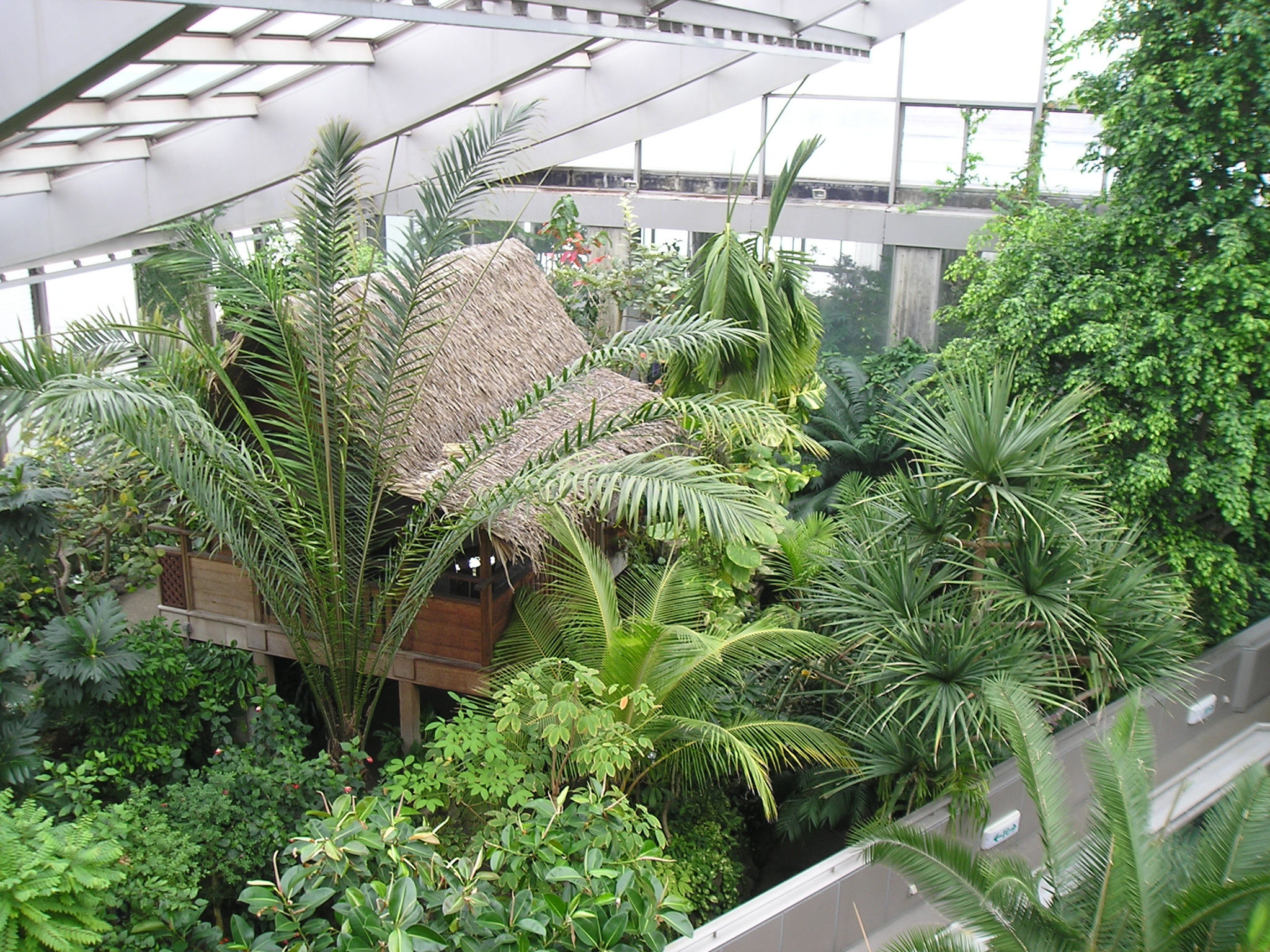 板橋区 熱帯環境植物館