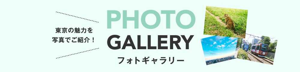 フォトギャラリー 東京の魅力を写真でご紹介！